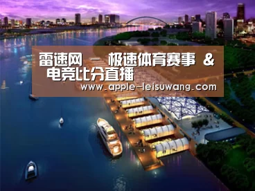 案例展示八(图1)