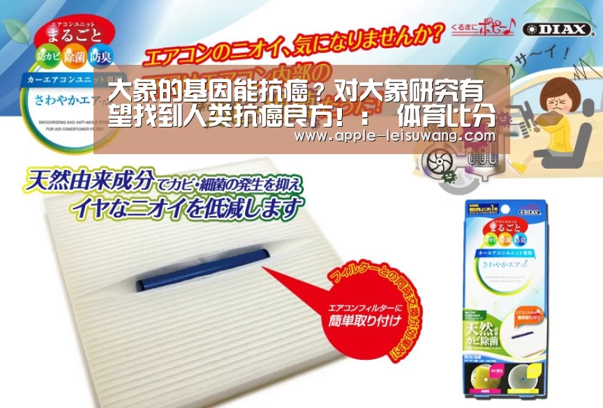 大象的基因能抗癌?对大象研究有望找到人类抗癌良方!: 体育比分(图2) 雷速体育